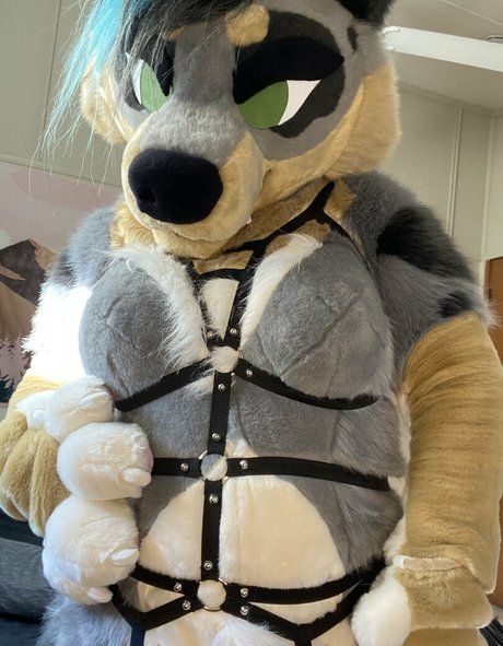 crownmutt hd star images