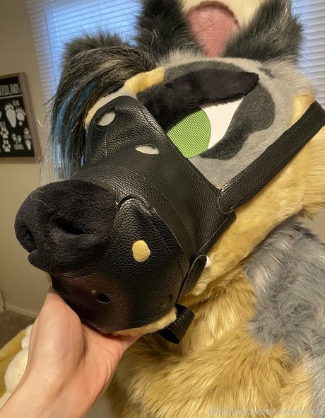 crownmutt star top img