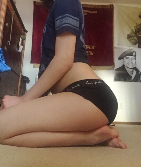 ArabianIliad model free img