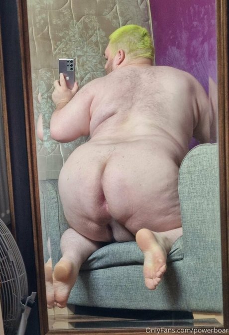 powerboar perfect model picture