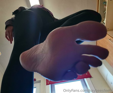 kaybeesfeets pornstar nudes image