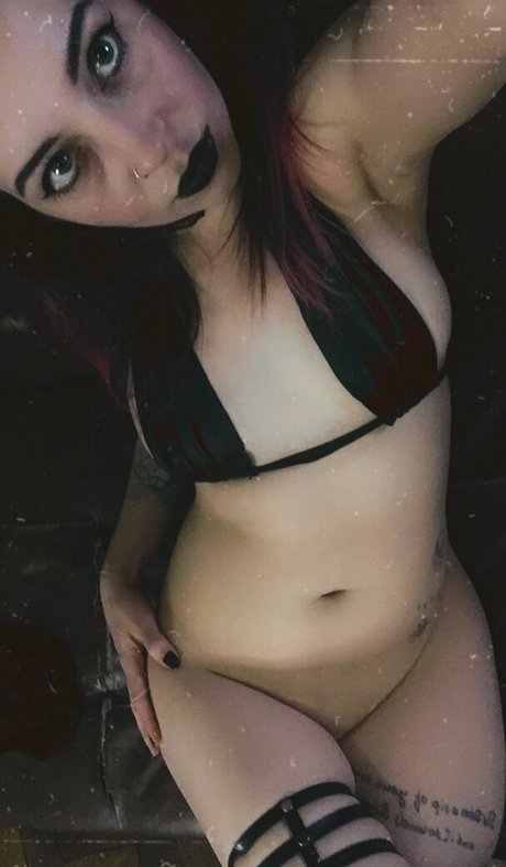 ara bella high quality star gallery