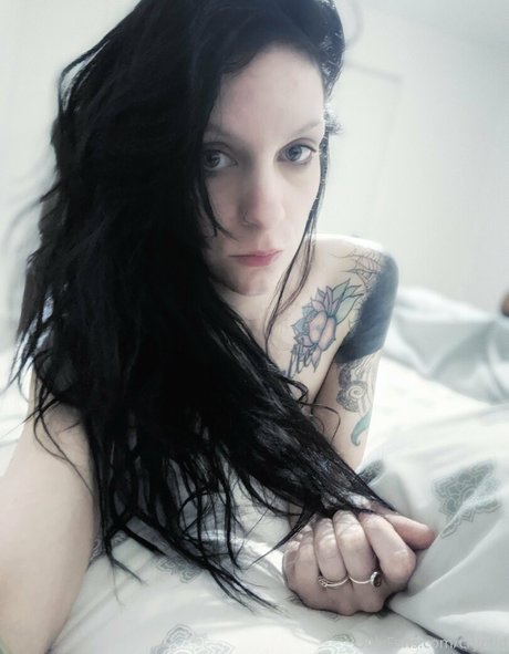 cryptid perfect star gallery