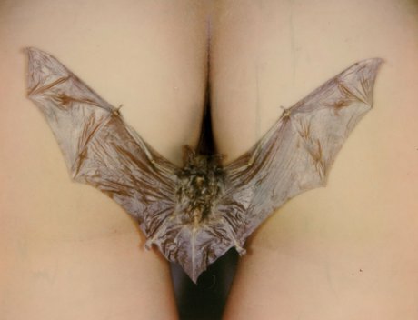 sadsamo art star photo