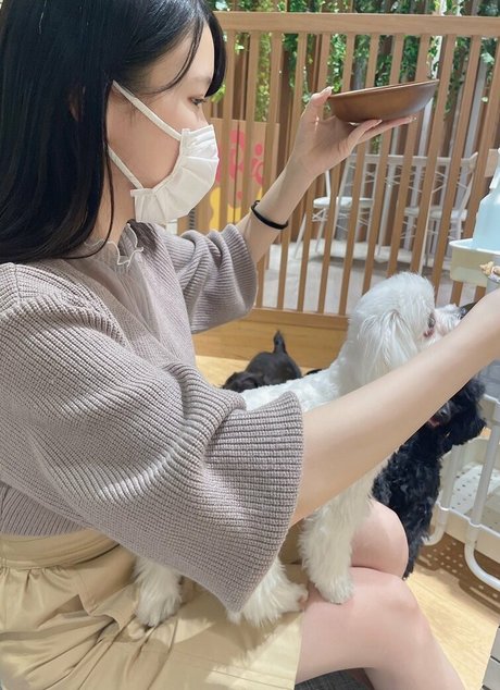 Hikaru Miyanishi star pornographic galleries