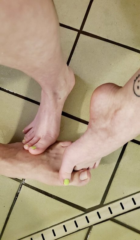 skyestone9 hd model image