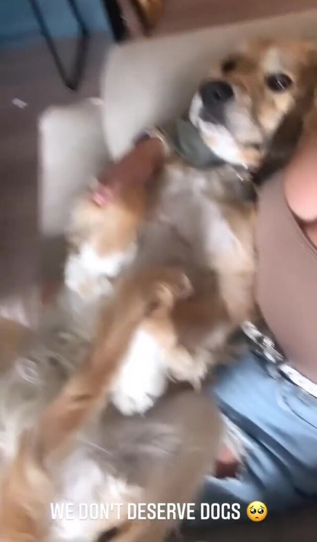 itssbriibitchh porn star photo