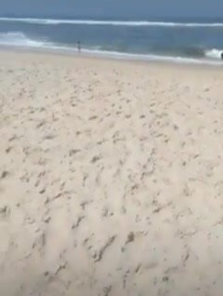 Aline Barreto xxx actress archive