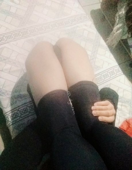 lofye beautiful star galleries