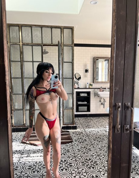 Synatra star art galleries