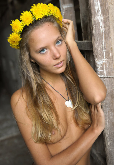 artofdanworld model hd picture