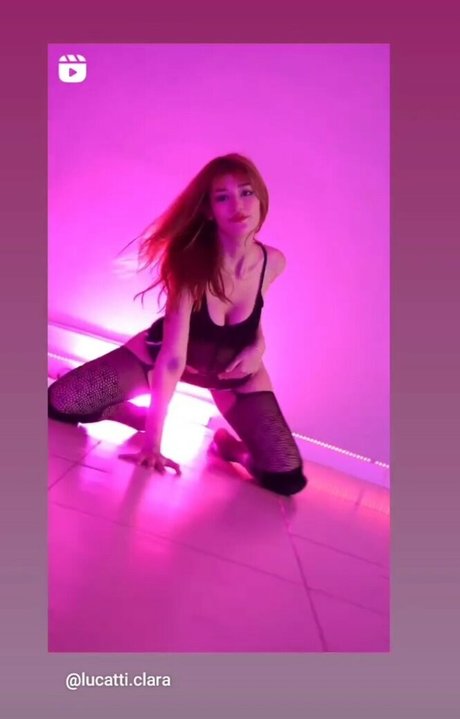 _theecat_ best model archive