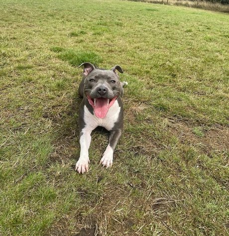 alexabrookexx star pretty photo