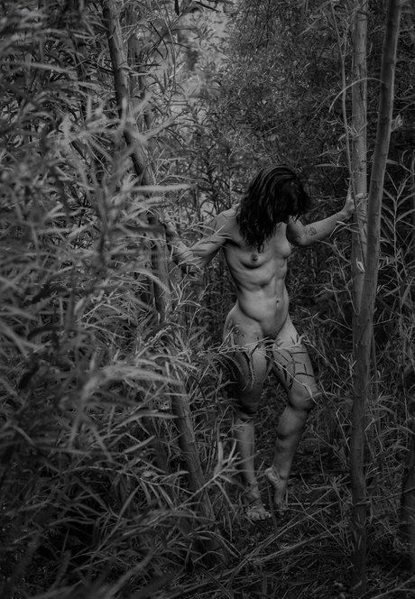 Jenners top star pictures