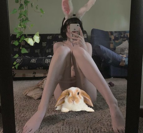 fluffyfulafel hd model archive