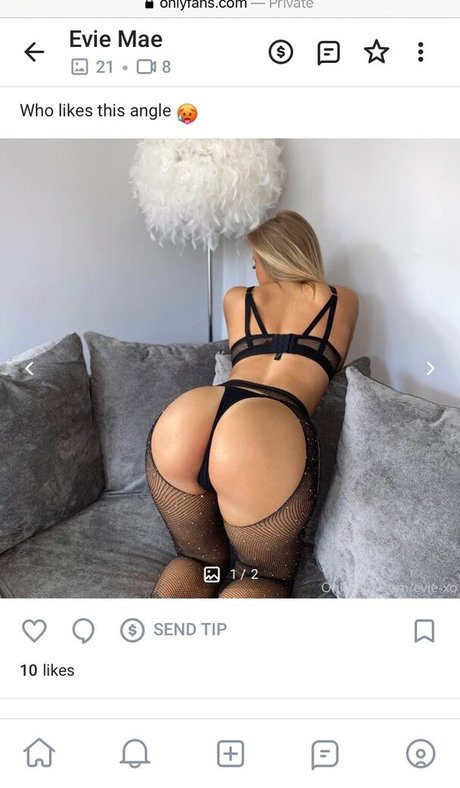 evie xo pornstar exclusive galleries