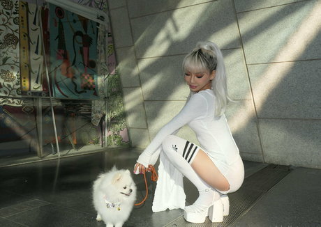 dollaryaoo star nice images