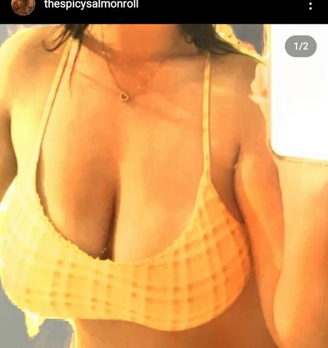 thespicysalmon art pornstar archive