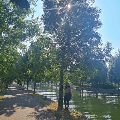 Ann Cygnus star nice images