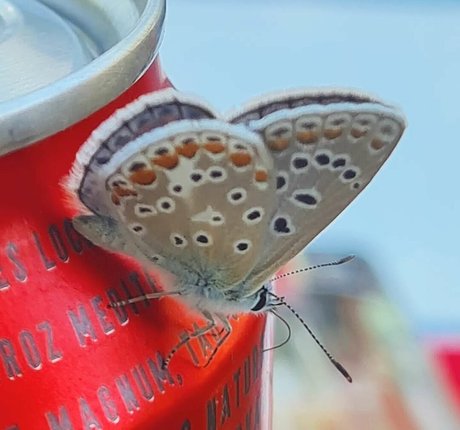 milf yoga onlyfans nude pictures