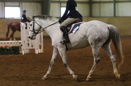 amateur squirt onlyfans sexy xxx pic