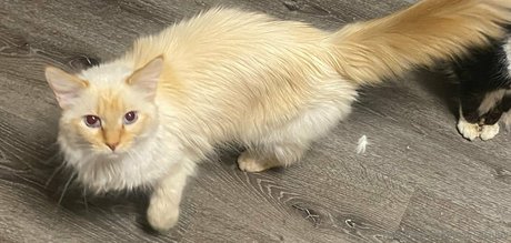 chubby latina teen onlyfans free gallery