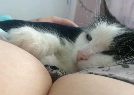 eyes onlyfans pornos images