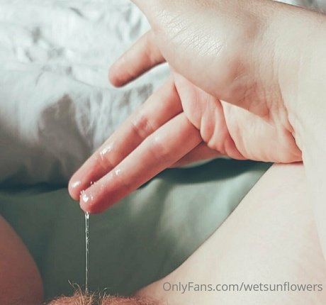 wetsunflowers star pornographic photo