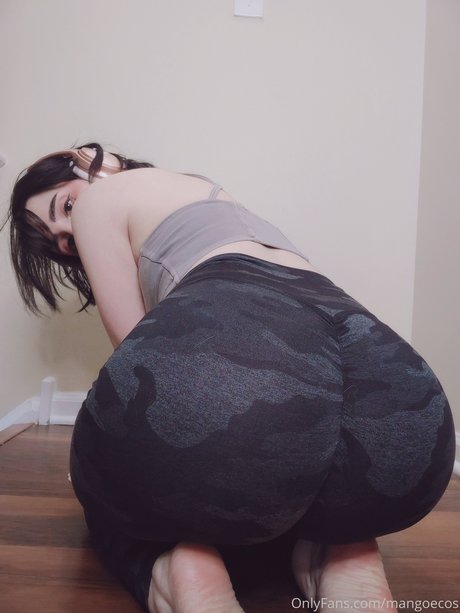 Mangoecos model art pics