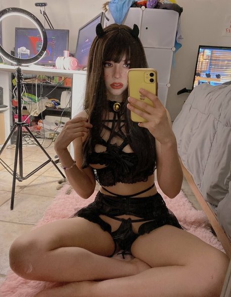 Amate Saurius star adult img