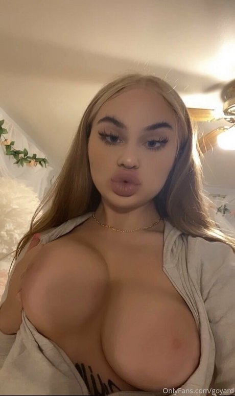 Goyard Wallet Quick model image