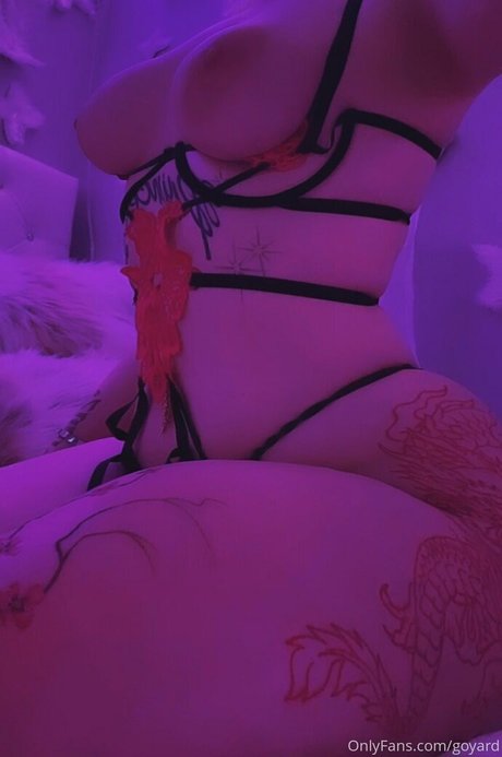 Goyard Wallet naked star images