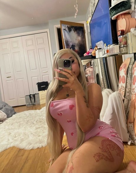 Goyard Wallet model perfect photo