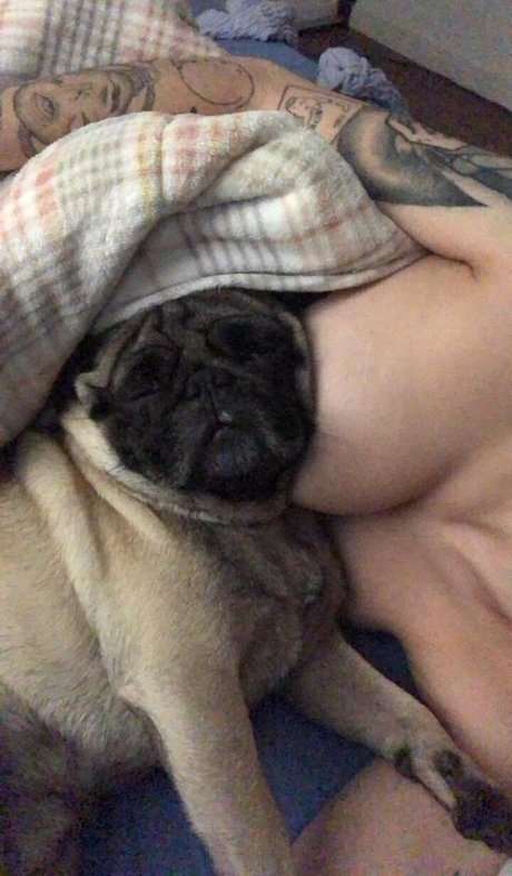 Trizpac pornstar beautiful pictures