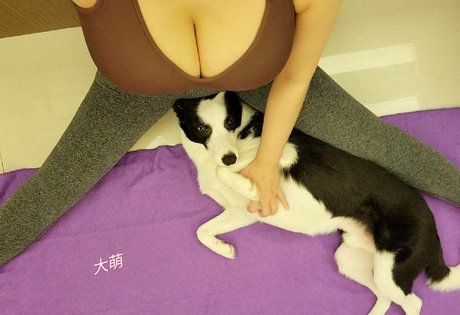 tw901173 free star galleries