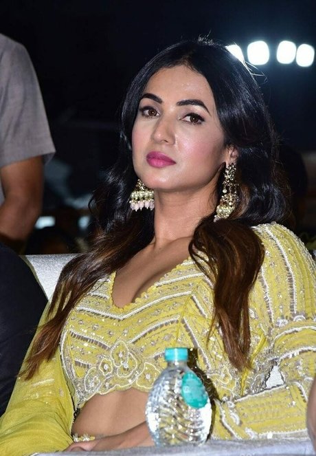 Sonal Chauhan pornstar naked picture