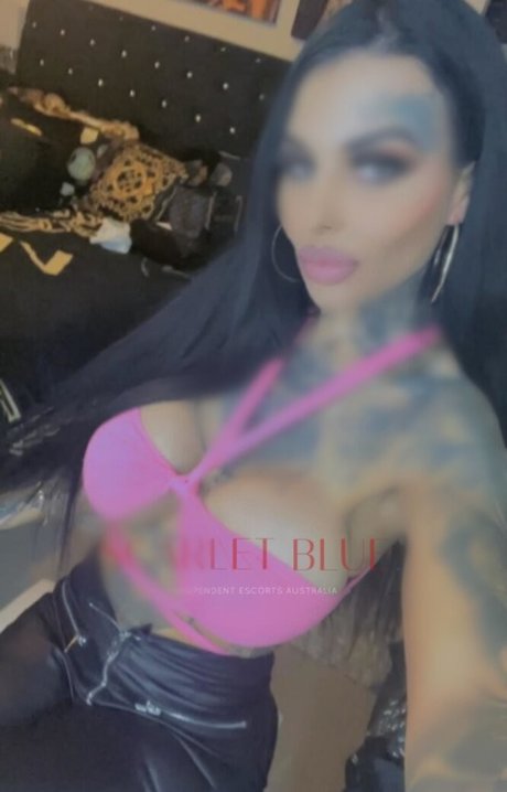 tattooinkedbabe22 high quality star pictures