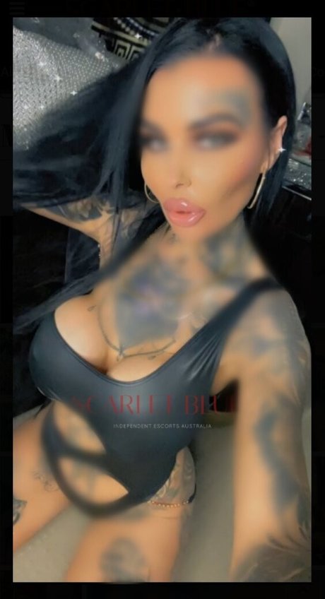 tattooinkedbabe22 star art archive