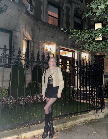 Alliorvokki star pretty gallery