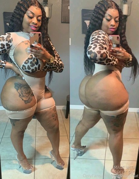 splashdagreat model top images