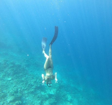 Sarah Connor star pornographic photo