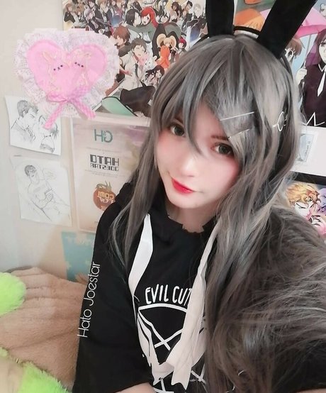 Hato Joestar model best picture