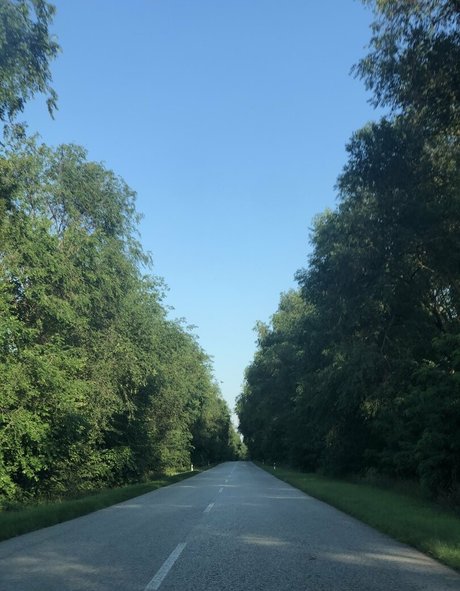 Nikki Irish model exclusive gallery