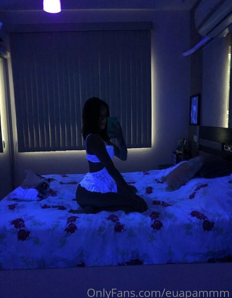 of pam model perfect img