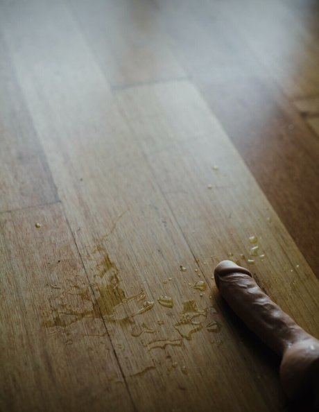 Kristina Wild pornstar top galleries