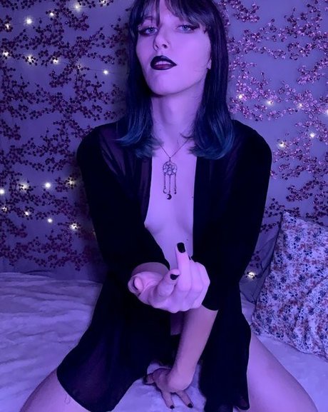 Starlite Anise high quality star archive