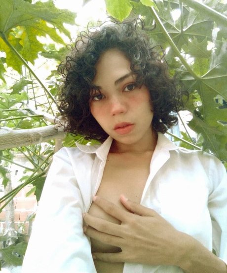 Maiyagami exclusive star galleries