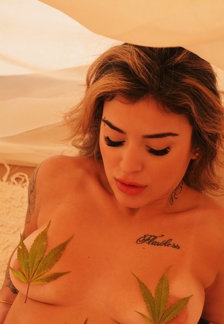 Brunna Hollinger pornstar xxx images