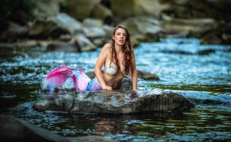 Fine Wolfanguar star art image