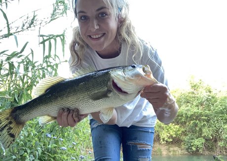 bubblerainbow3 best star img